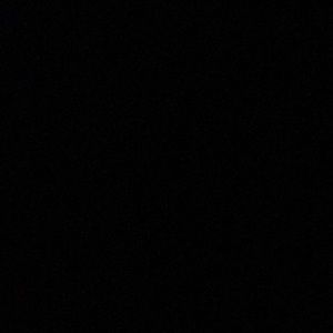 Meet your Posher, Esme